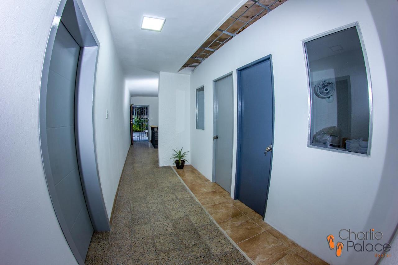 Charlie Palace Hostel Medellin Exterior photo